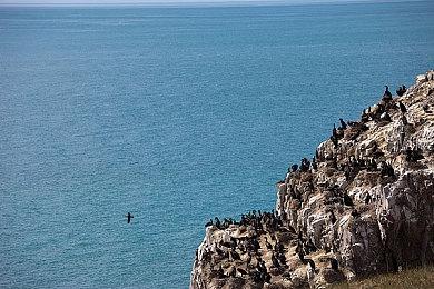 腾讯旗下Splash Damage与Shroud合作开发新项目